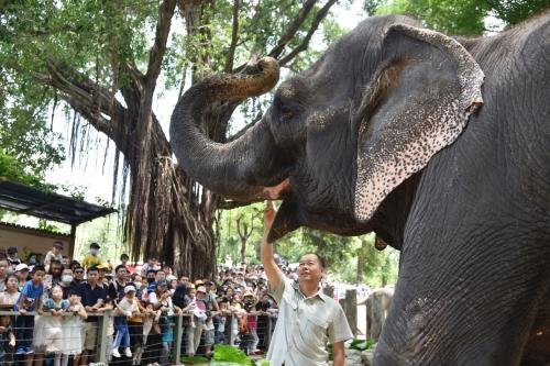 五一假期首日，深圳野生動(dòng)物園動(dòng)物科普講解吸引游客